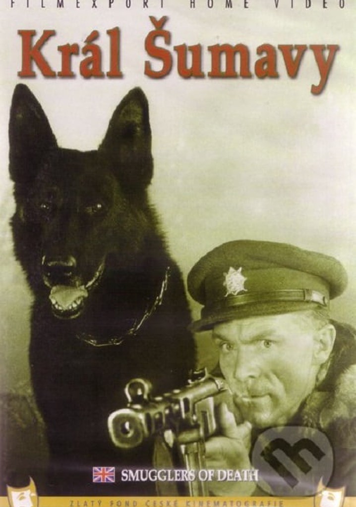King of the Sumava poster