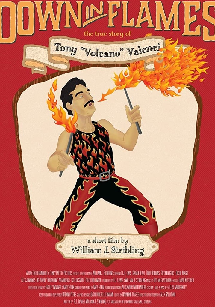 Down in Flames: The True Story of Tony Volcano Valenci poster