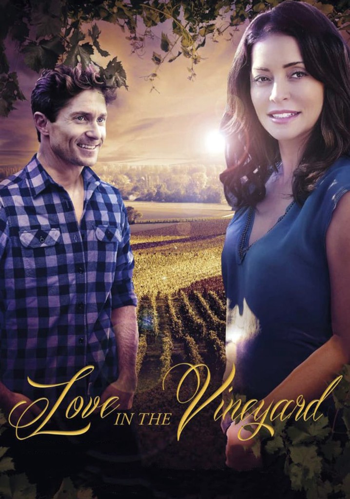 Love in the Vineyard poster