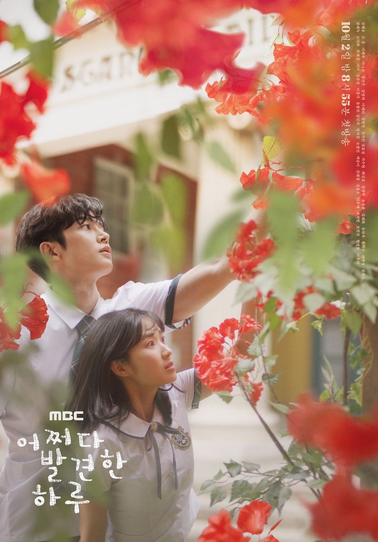 Extra-ordinary You poster