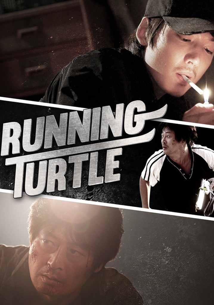 Running Turtle poster