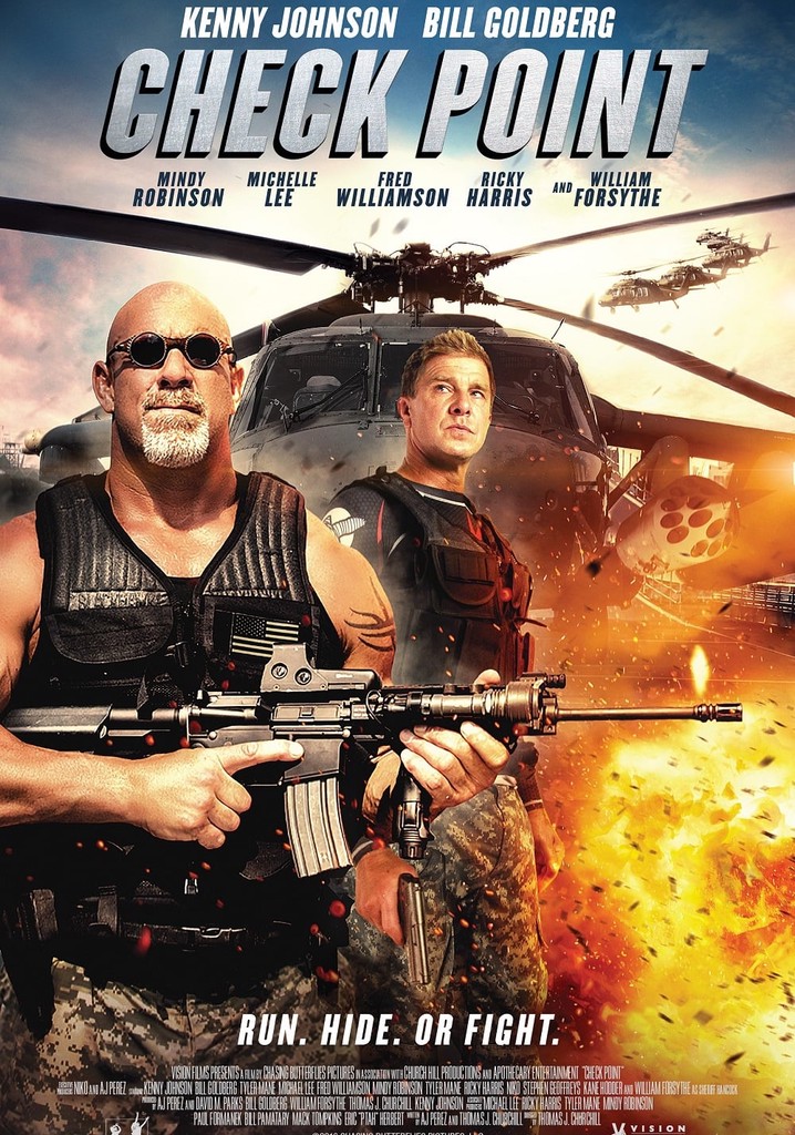 Check Point poster
