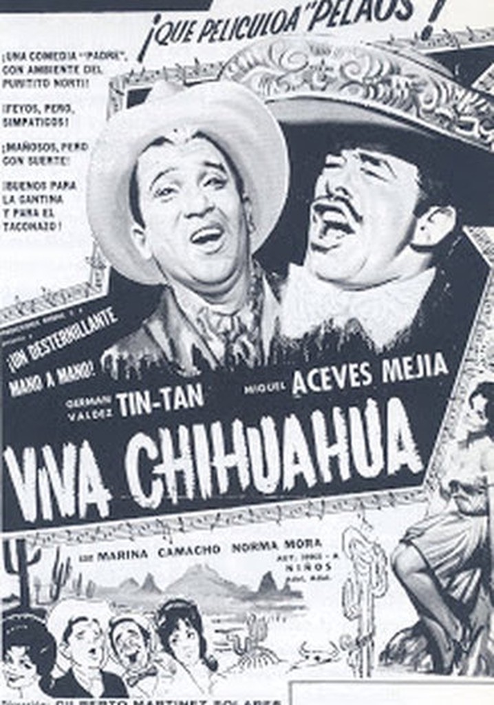 Viva Chihuahua poster