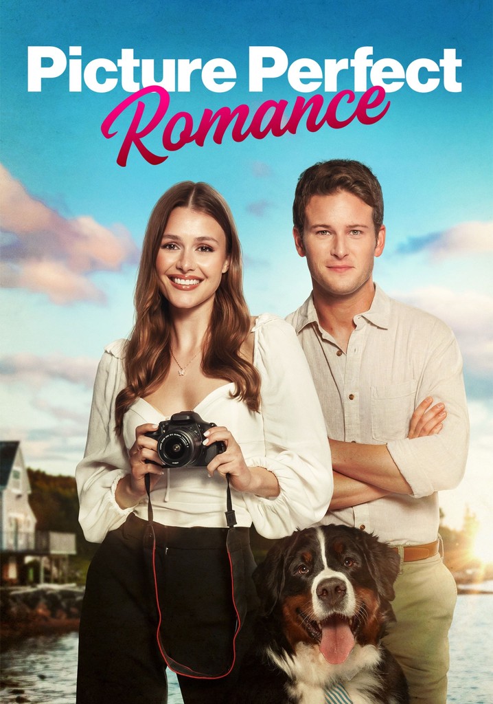 Picture Perfect Romance poster