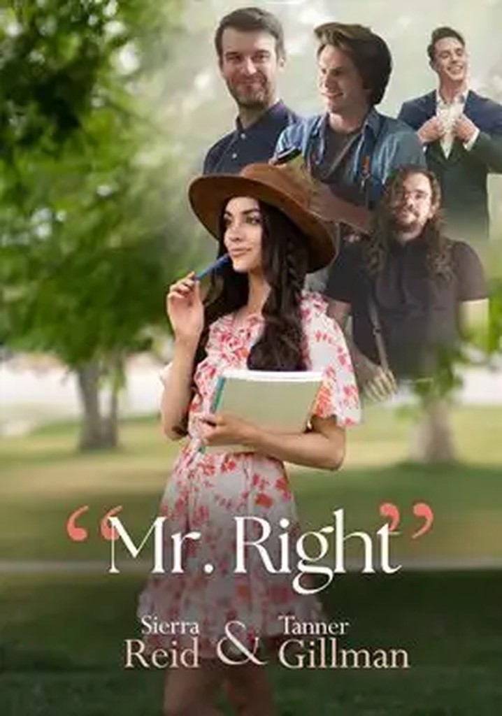 Mr. Right poster
