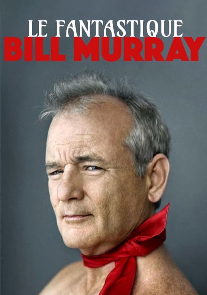 Le fantastique Mr Murray poster