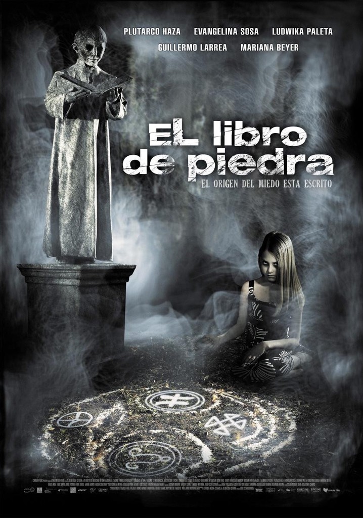 The Book of Stone poster