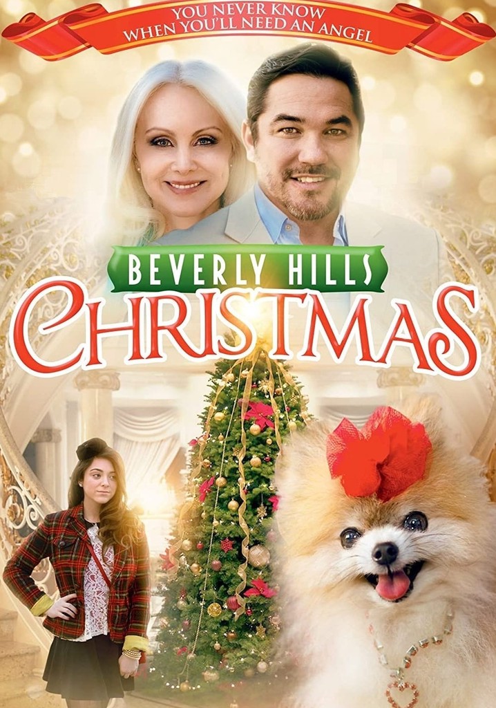 Beverly Hills Christmas poster