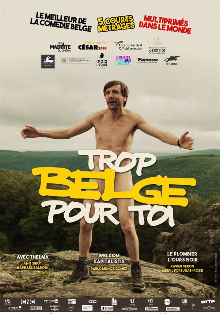 Trop belge pour toi poster