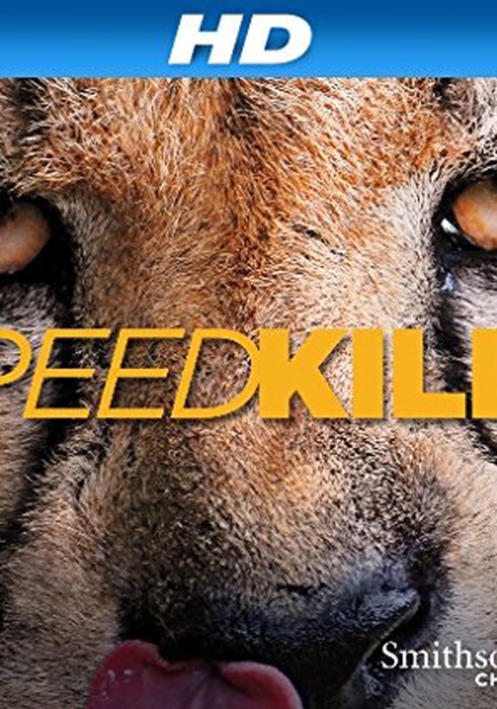 Speed Kills poster