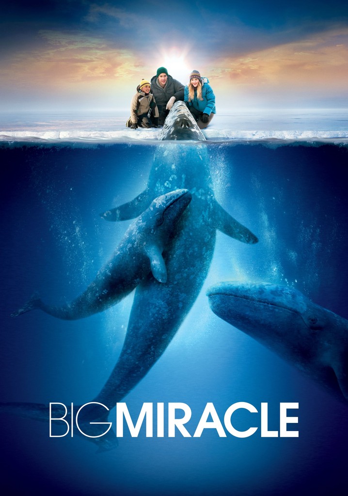 Big Miracle poster