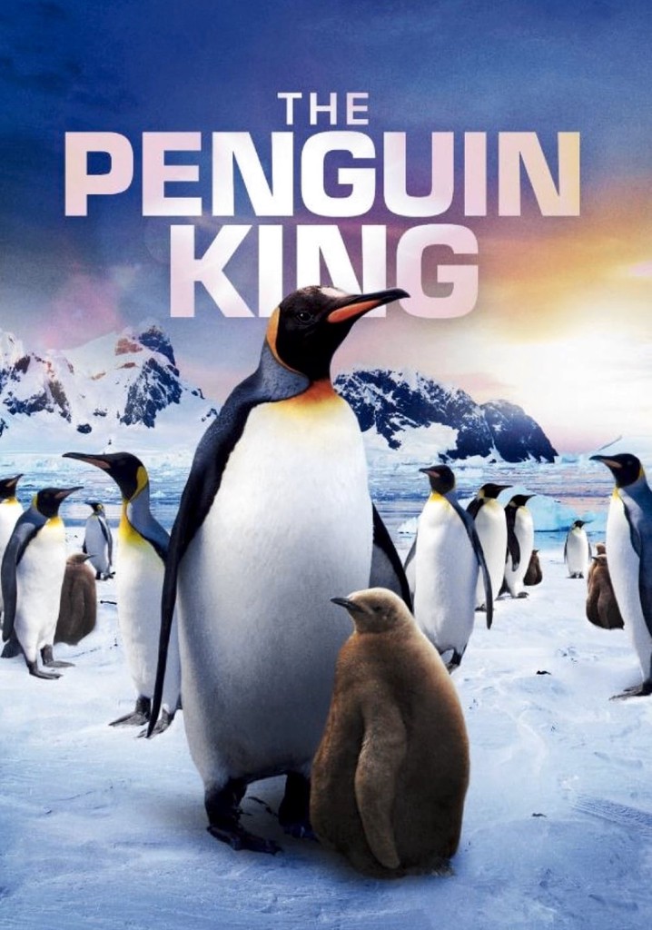 The Penguin King poster