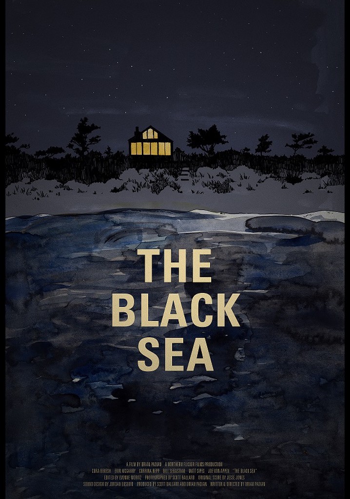 The Black Sea poster