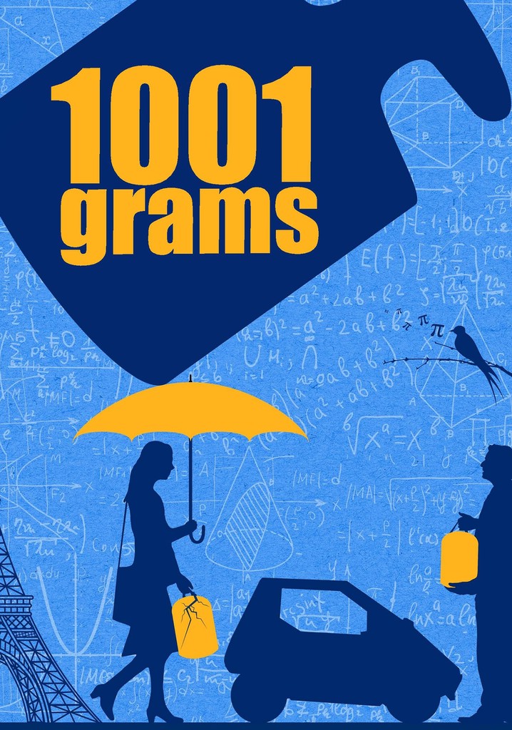 1001 Grams poster