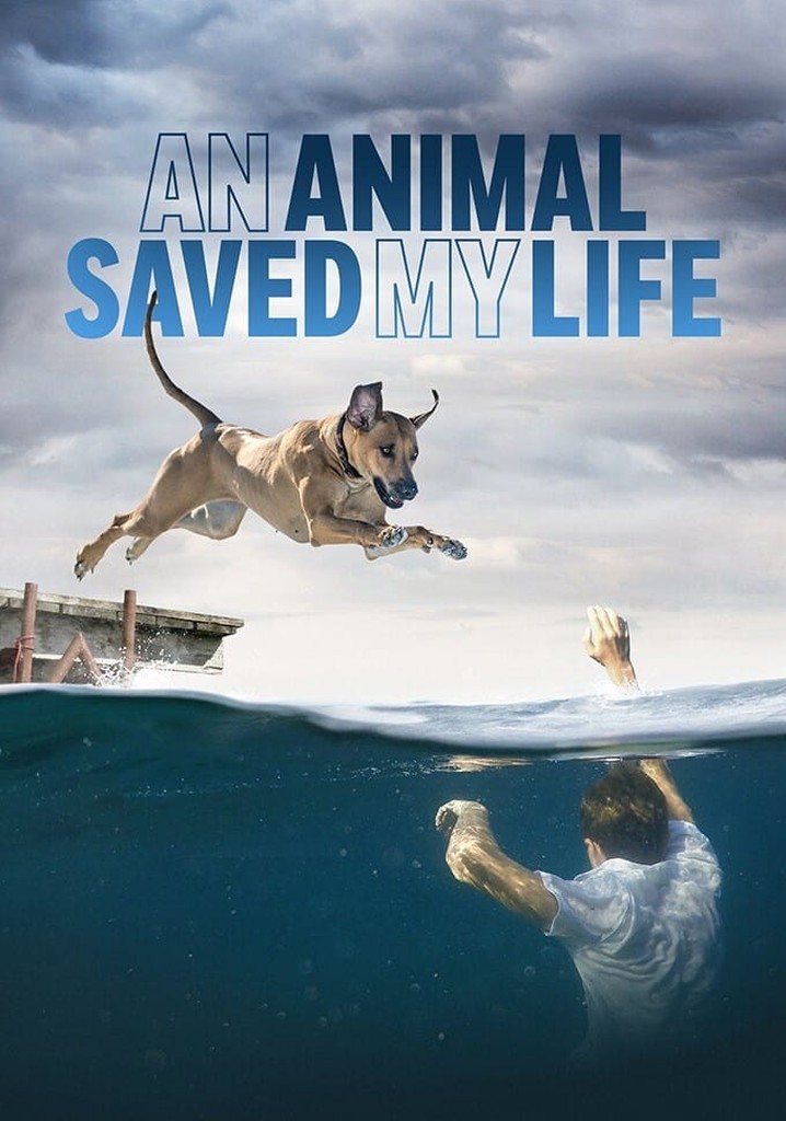 An Animal Saved My Life poster
