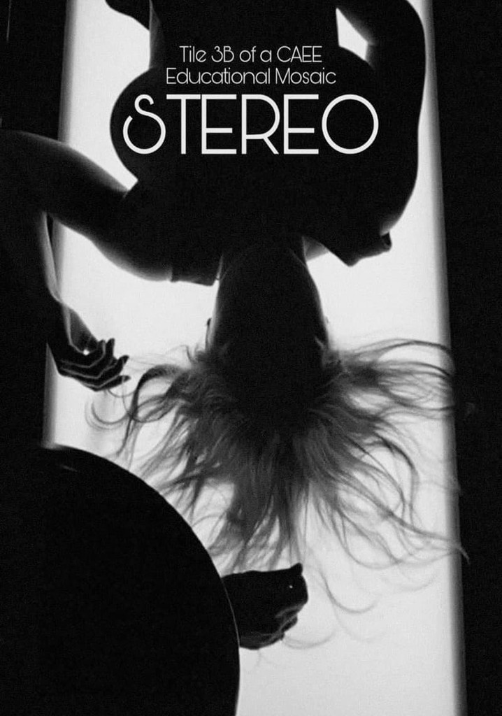Stereo poster
