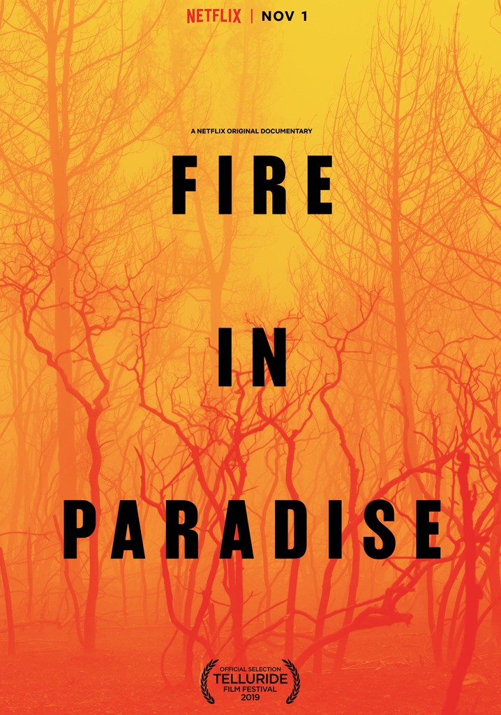 Fire in Paradise poster