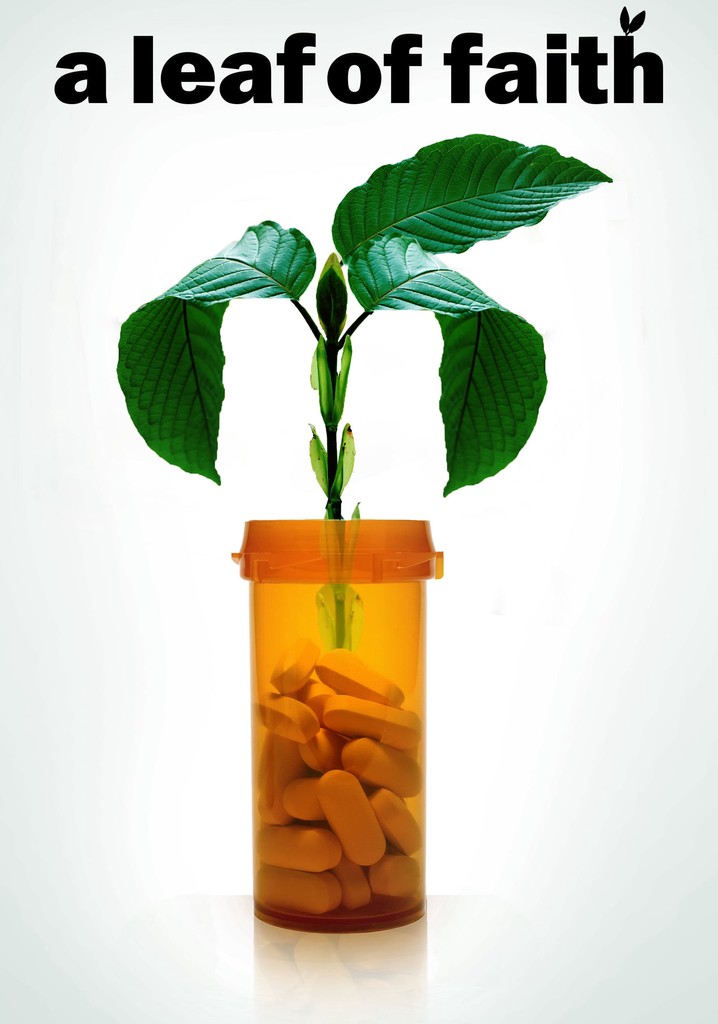 A Leaf of Faith poster