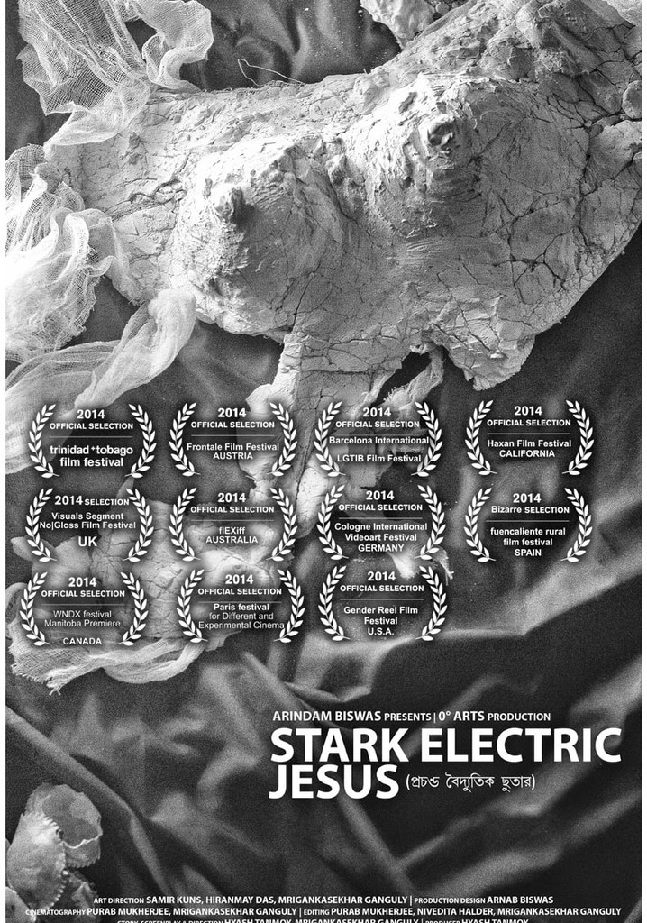 Stark Electric Jesus poster