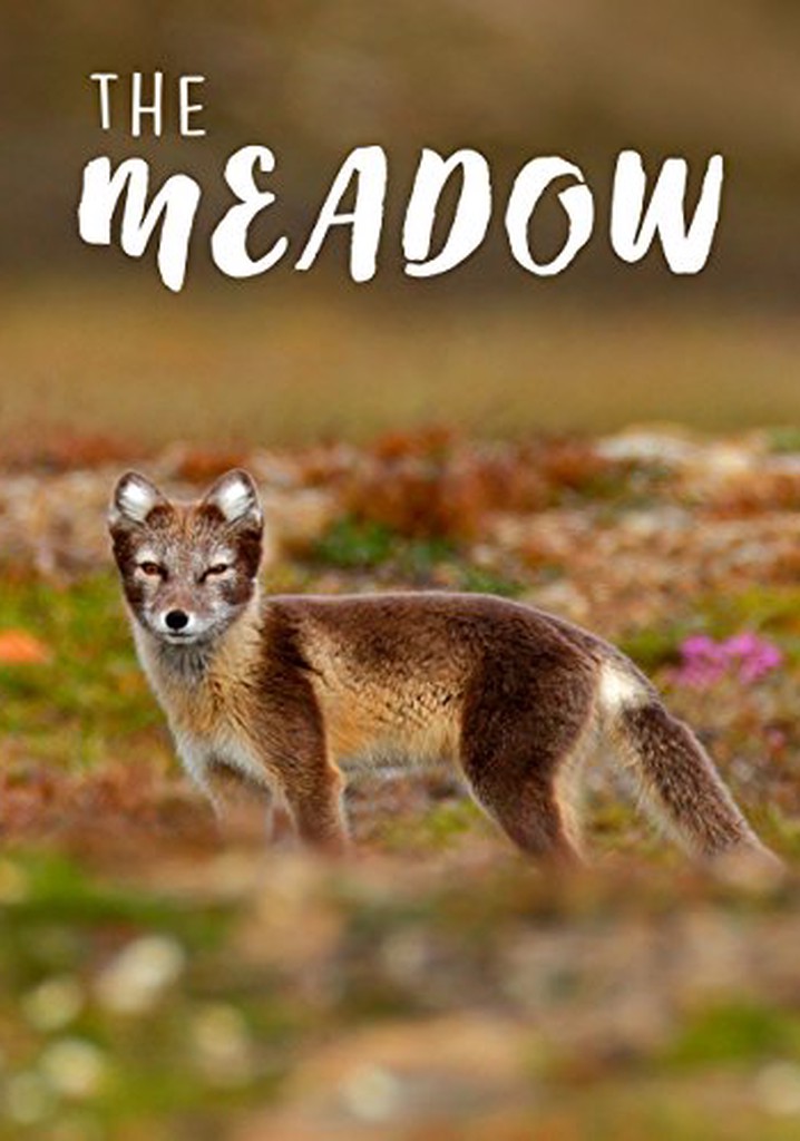 The Meadow poster