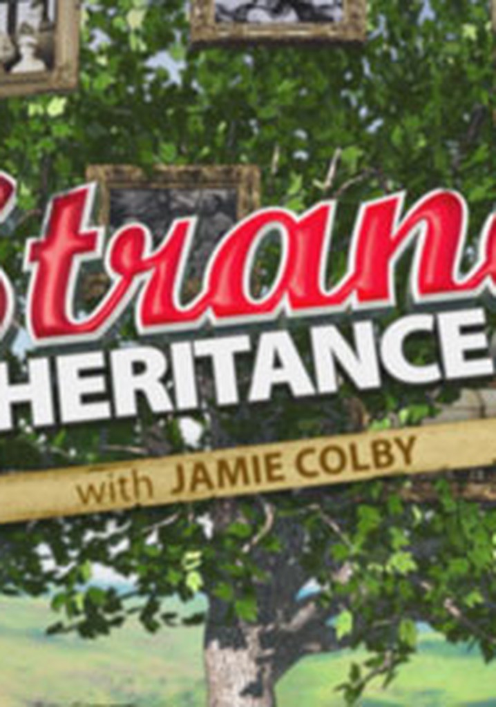 Strange Inheritance poster