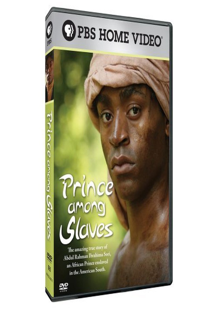 Prince Among Slaves poster