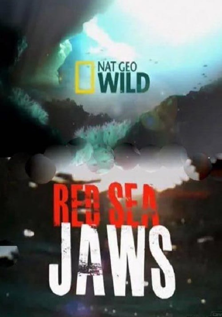 Red Sea Jaws poster