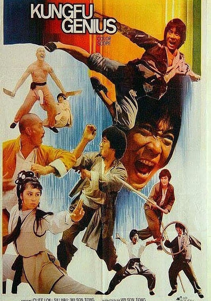 Kung Fu Genius poster