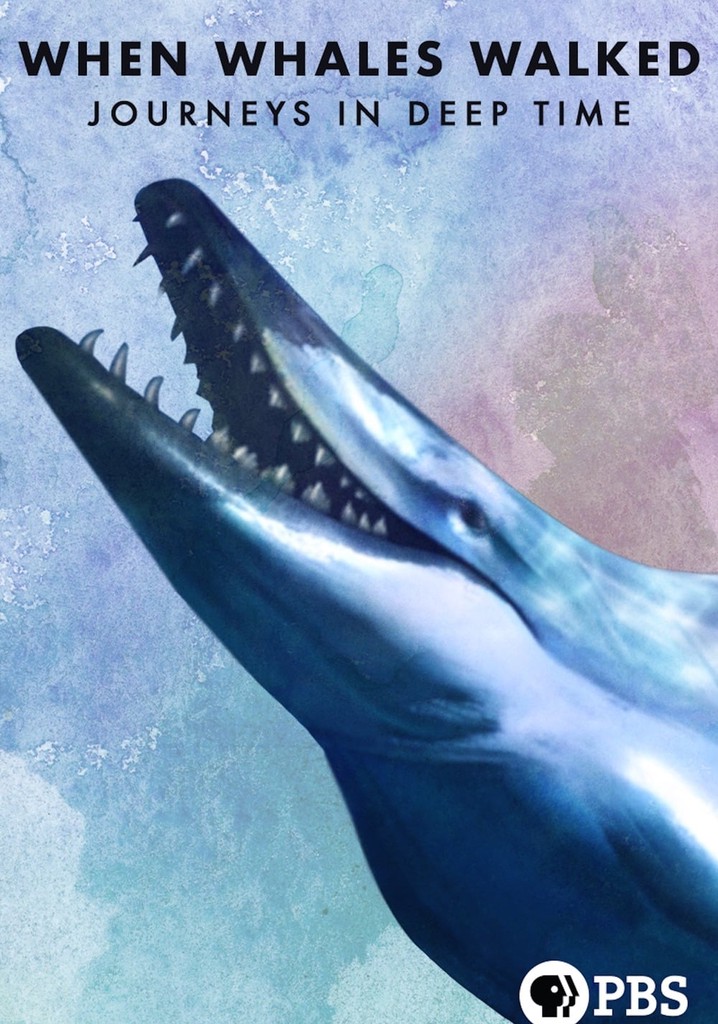 When Whales Walked: Journeys in Deep Time poster