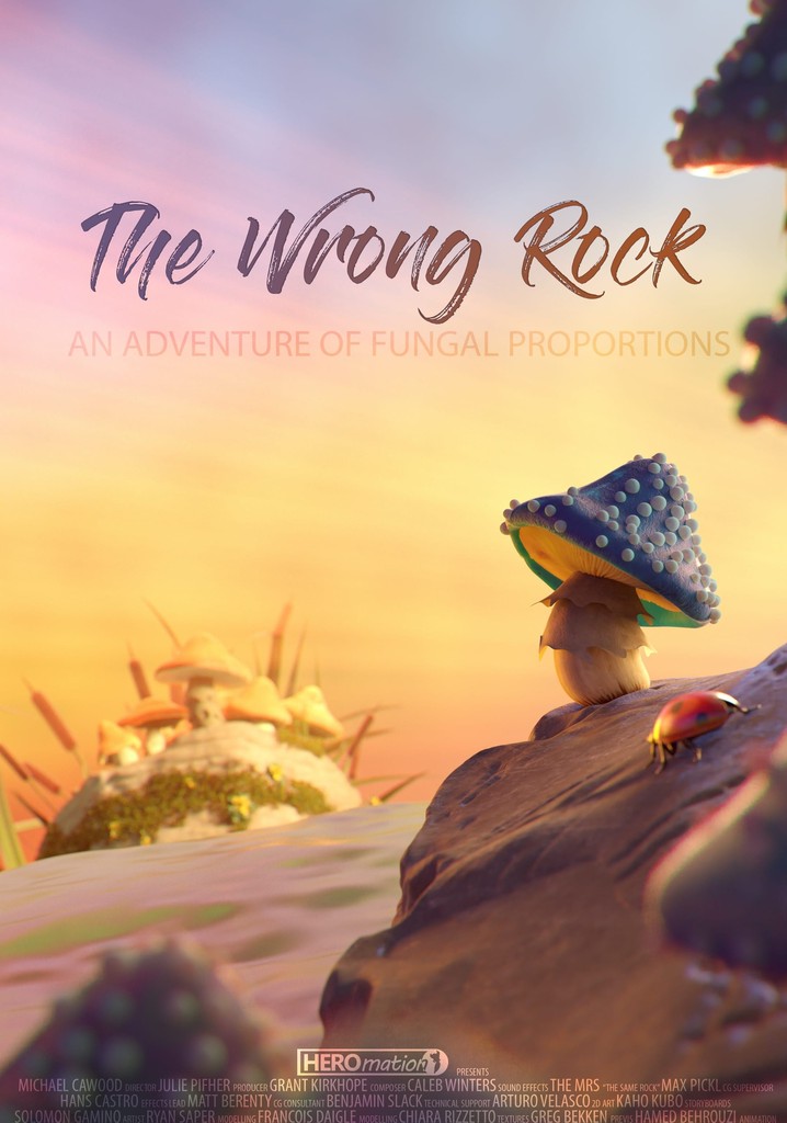 The Wrong Rock poster