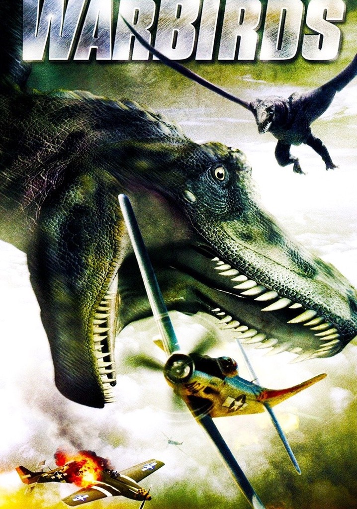 Warbirds poster
