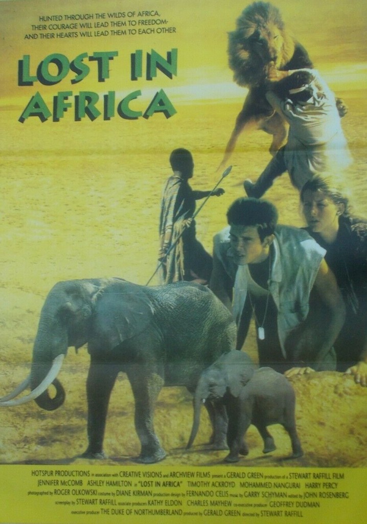 Lost in Africa poster