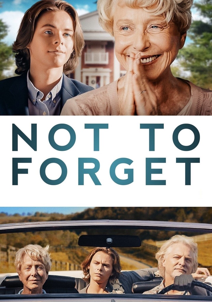 Not To Forget poster