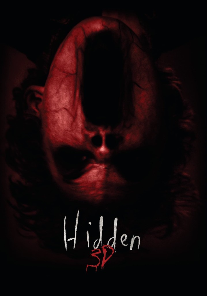 Hidden 3D poster