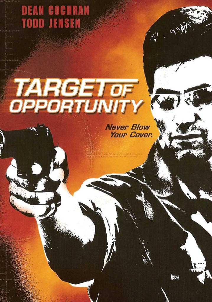 Target of Opportunity poster