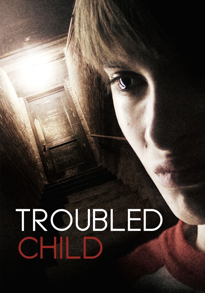 The Boarder poster