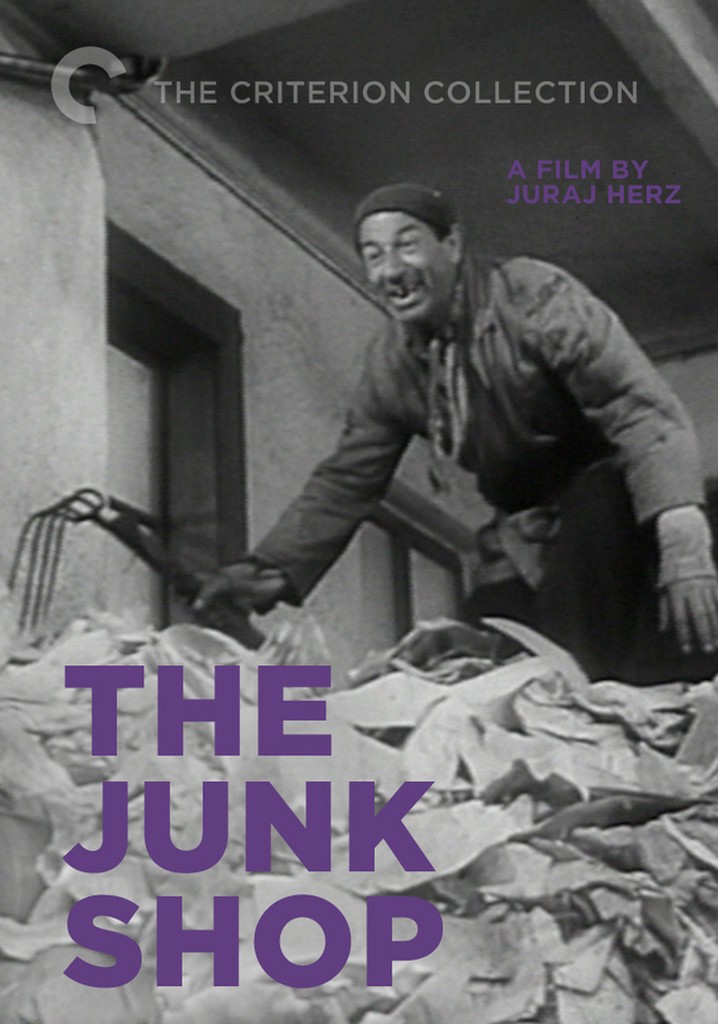 The Junk Shop poster