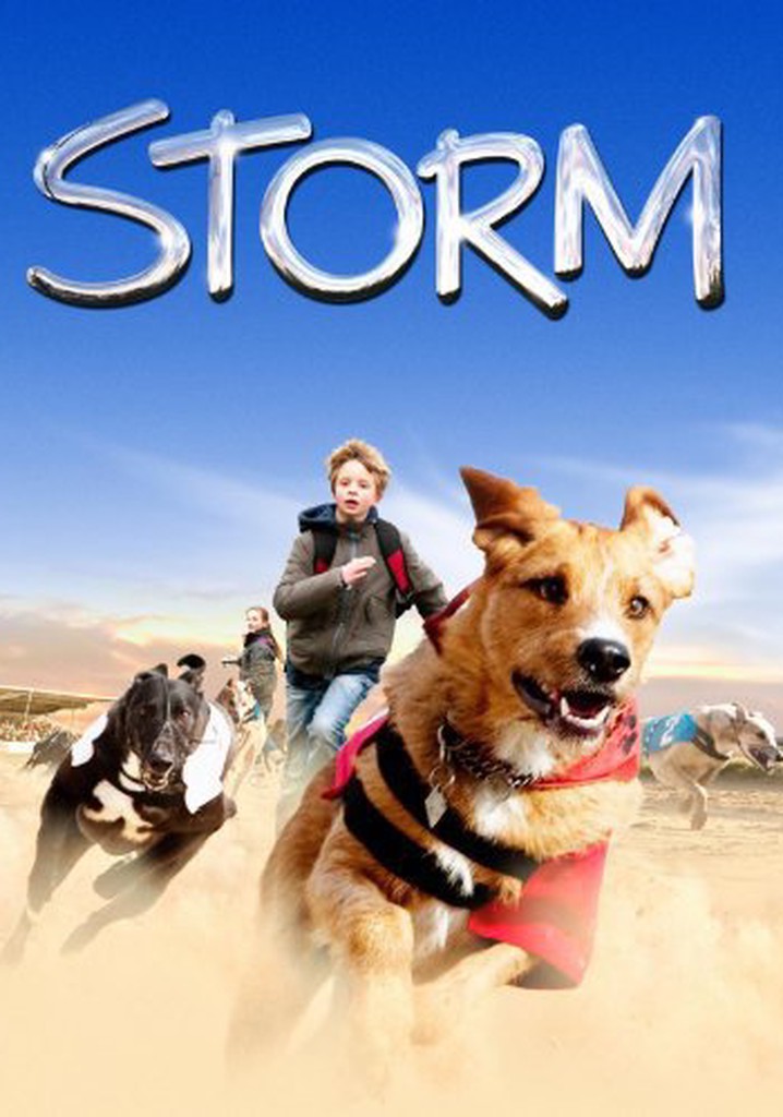 Storm poster