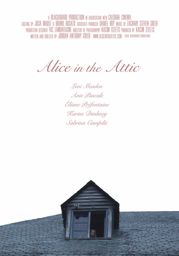 Alice in the Attic poster