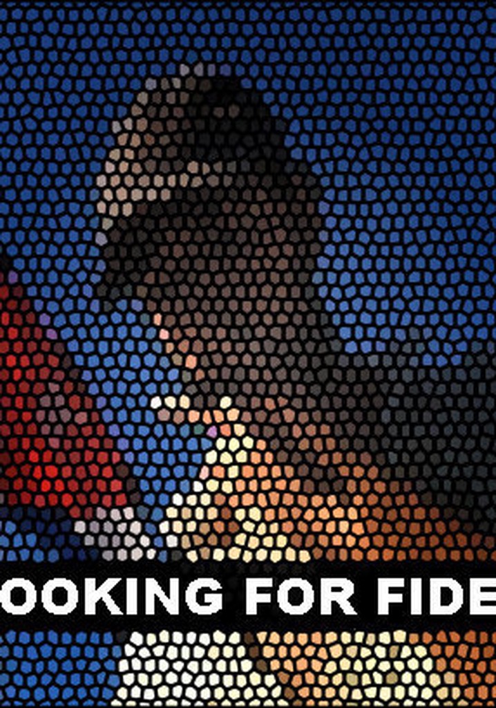 Looking for Fidel poster