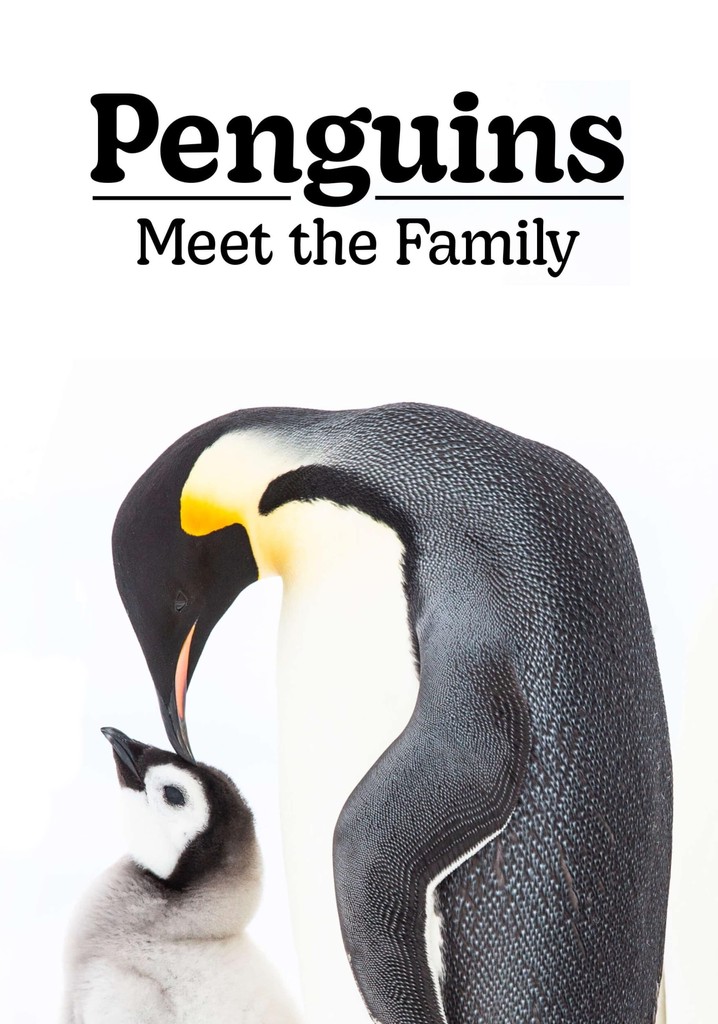 Penguins: Meet the Family poster