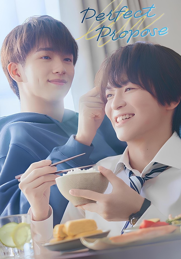 Perfect Propose poster