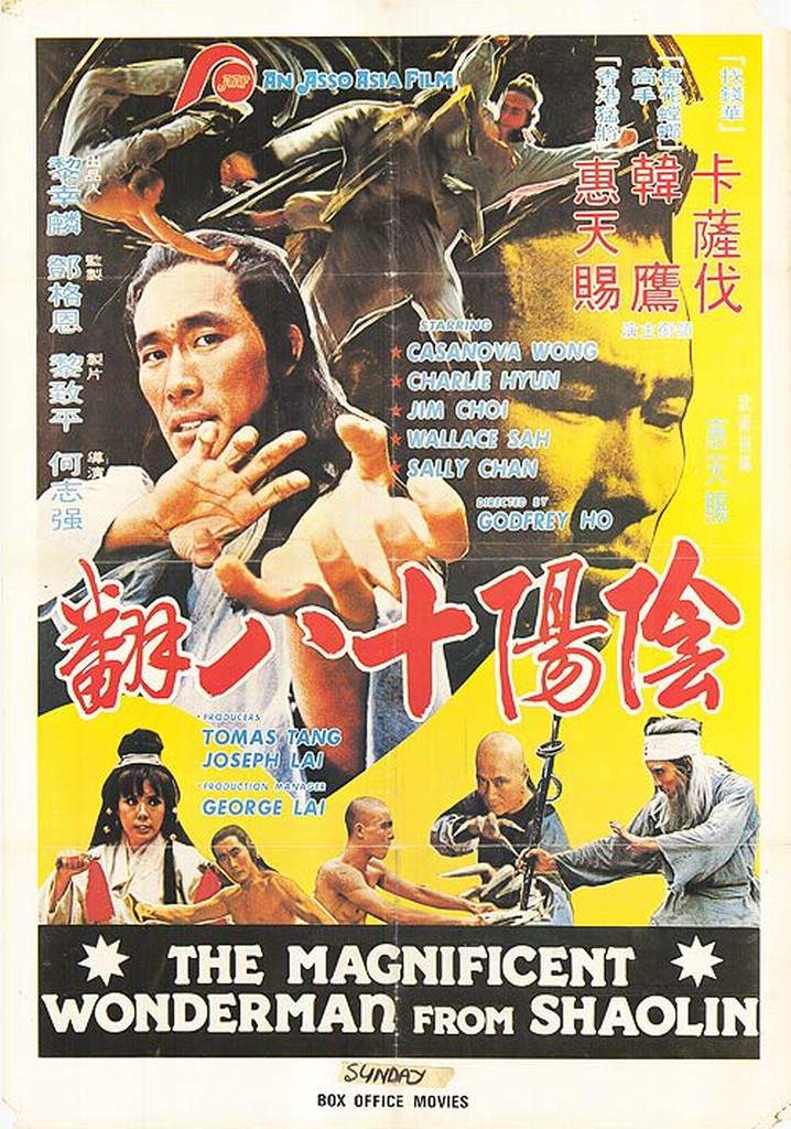 The Magnificent Wonderman poster