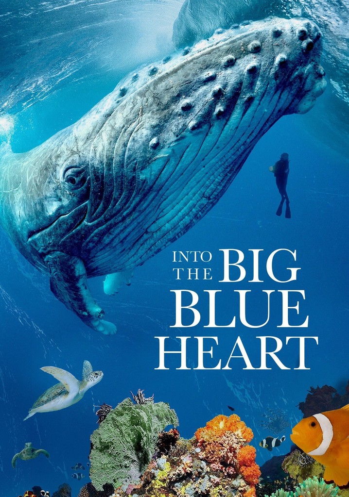 Into the Big Blue Heart: Ocean Currents poster