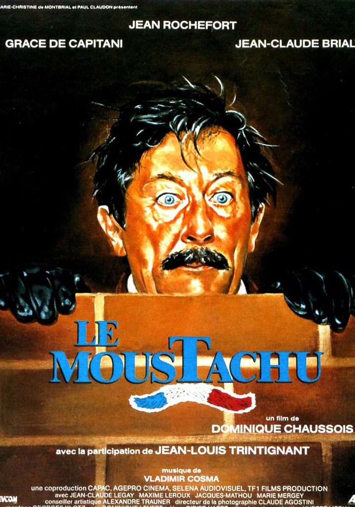 Le moustachu poster