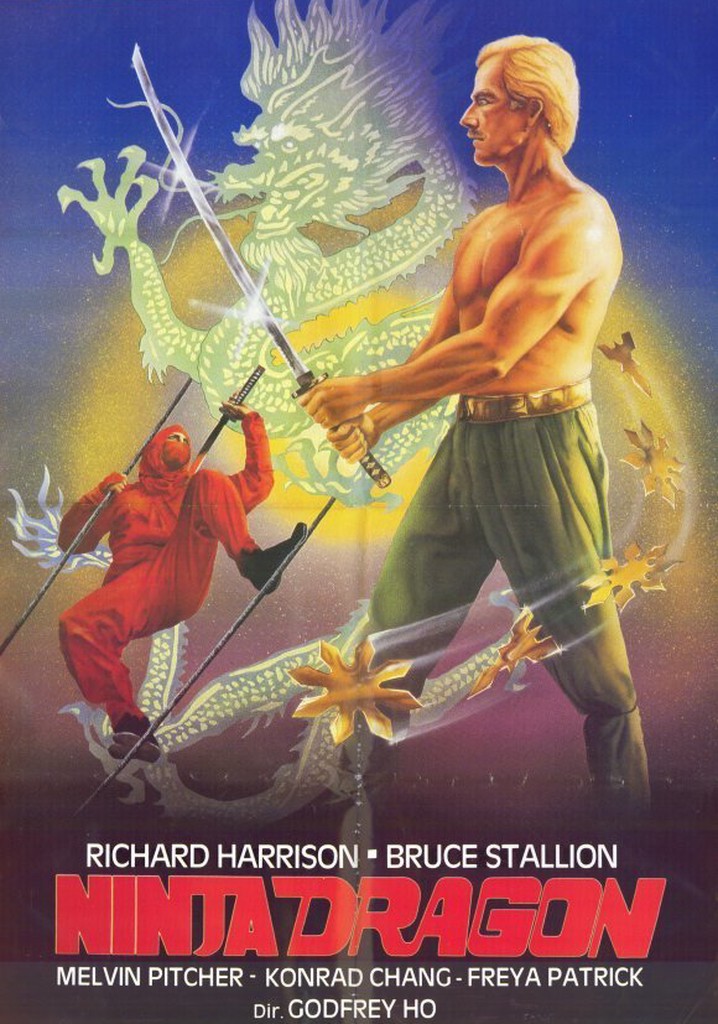 Ninja Dragon poster