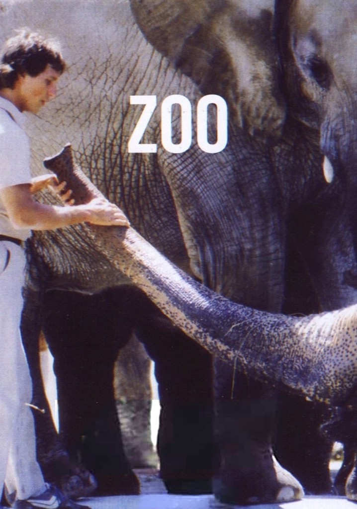 Zoo poster