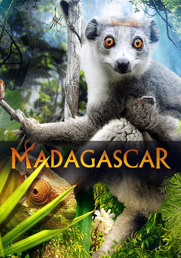 Madagascar 3D poster