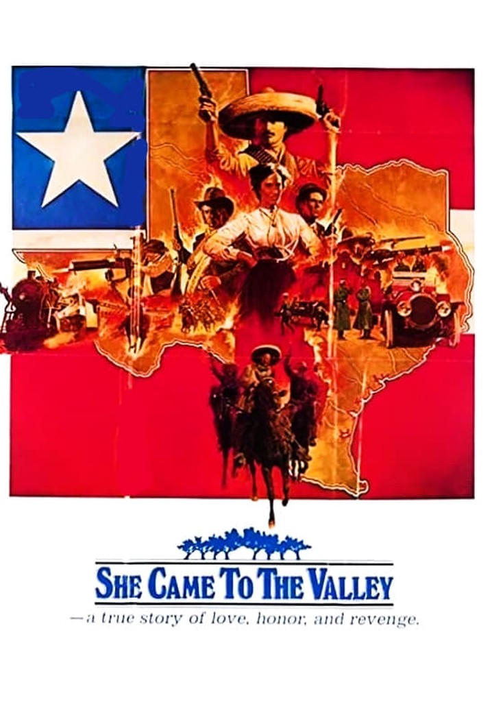 She Came To The Valley poster