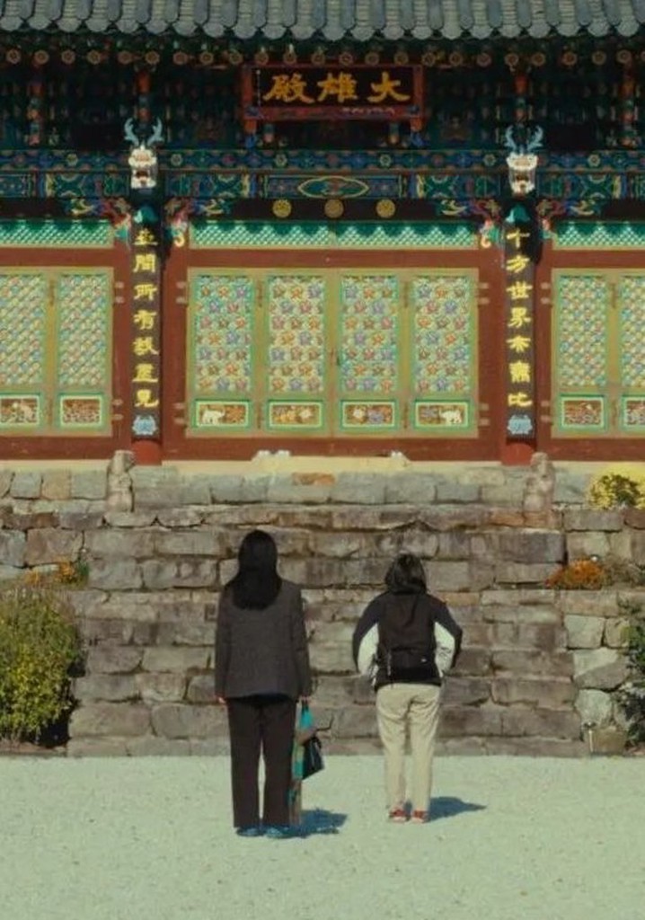 The Mountain Between Us poster